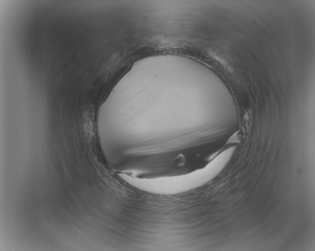 X0000068861348200606021750