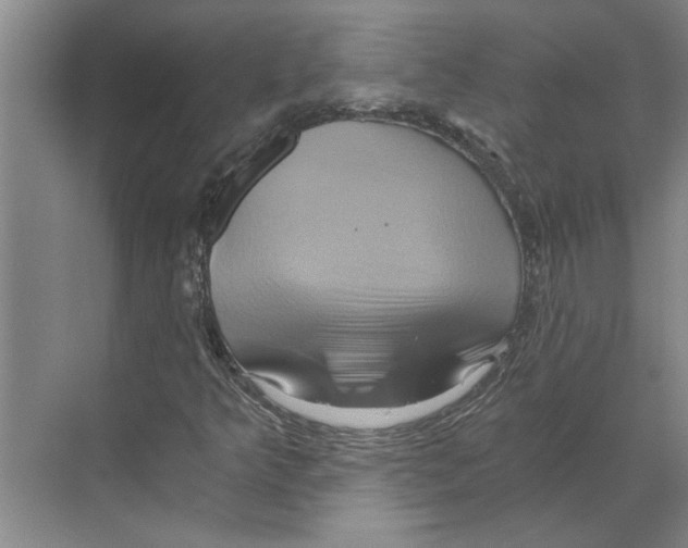 X0000068861349200606021750