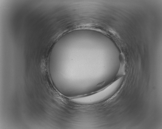 X0000068861353200606021750
