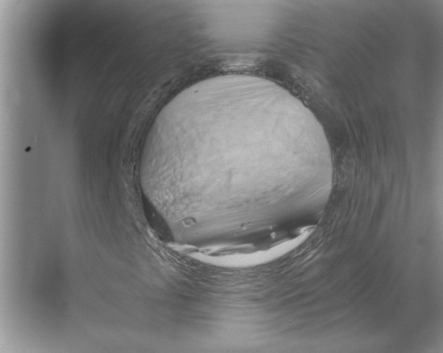 X0000068861441200606021748