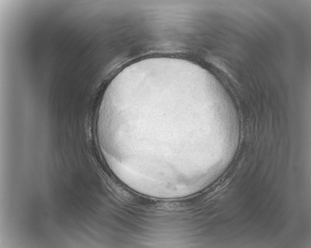 X0000068861451200606021748