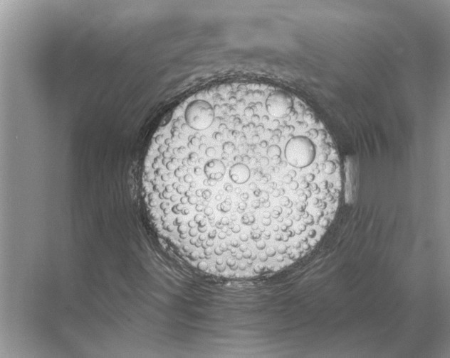 X0000068861491200606021747