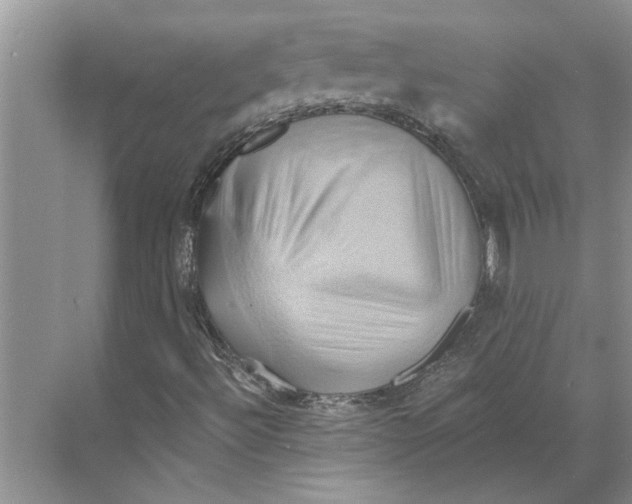 X0000068861492200606021747