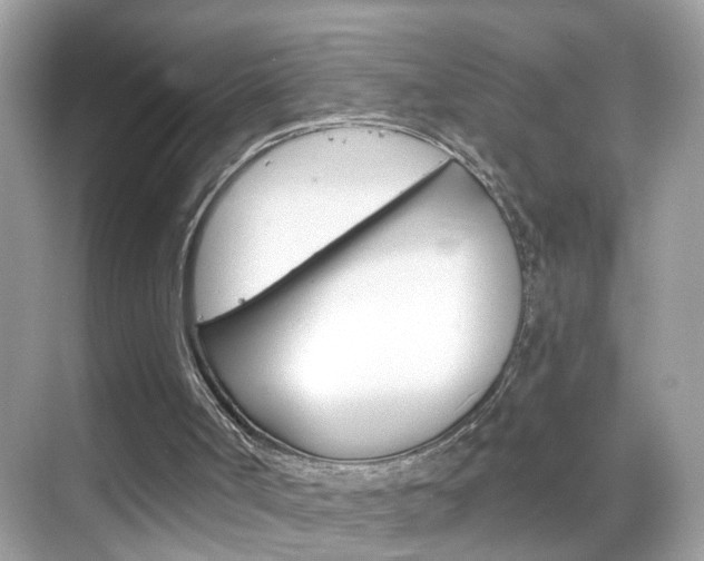 X0000068890002200605051127