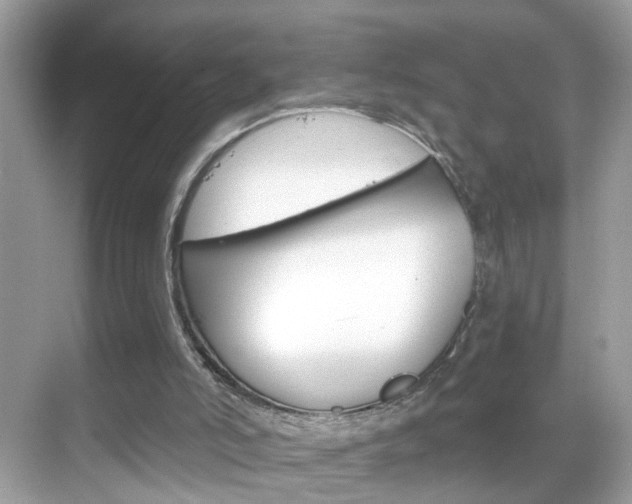 X0000068890006200605051127