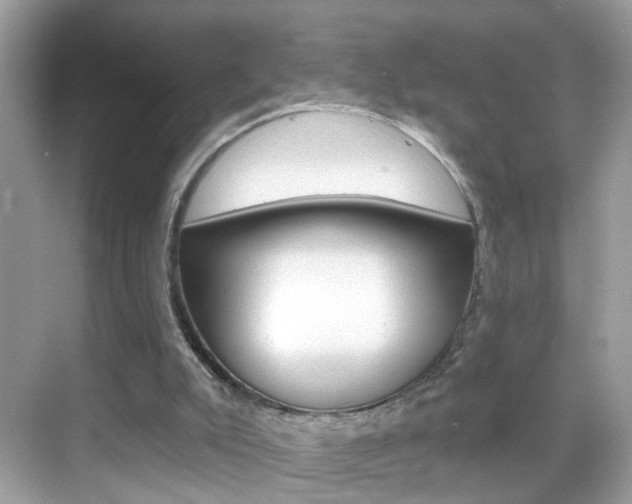 X0000068890007200605051127