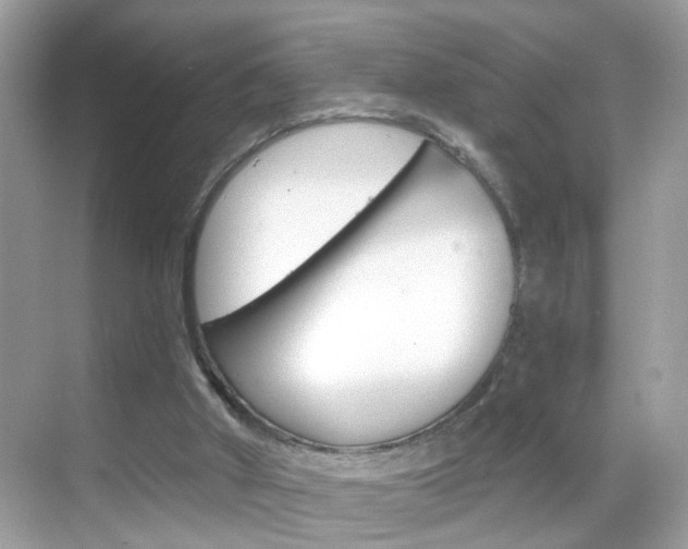 X0000068890010200605051127