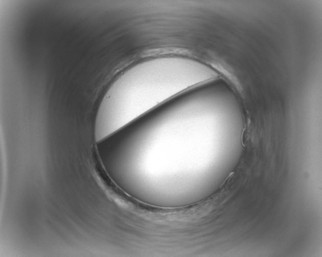 X0000068890013200605051127