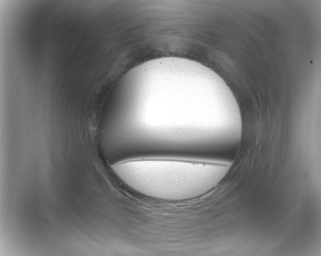 X0000068890040200605051126