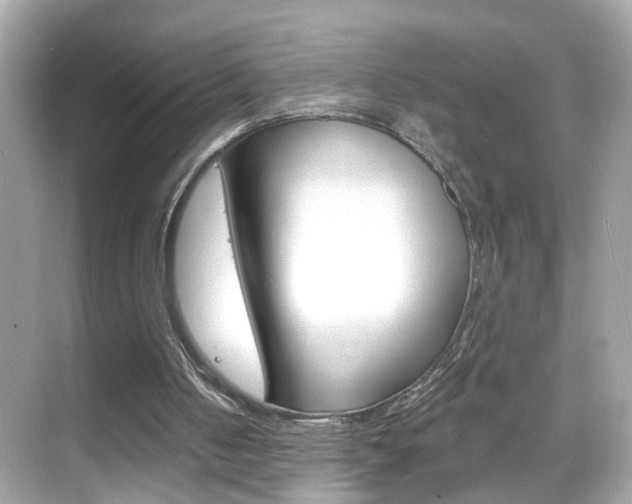 X0000068890050200605051125