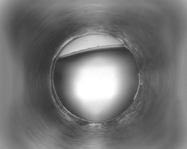 X0000068890052200605051125