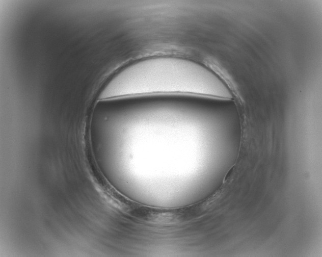 X0000068890058200605051126