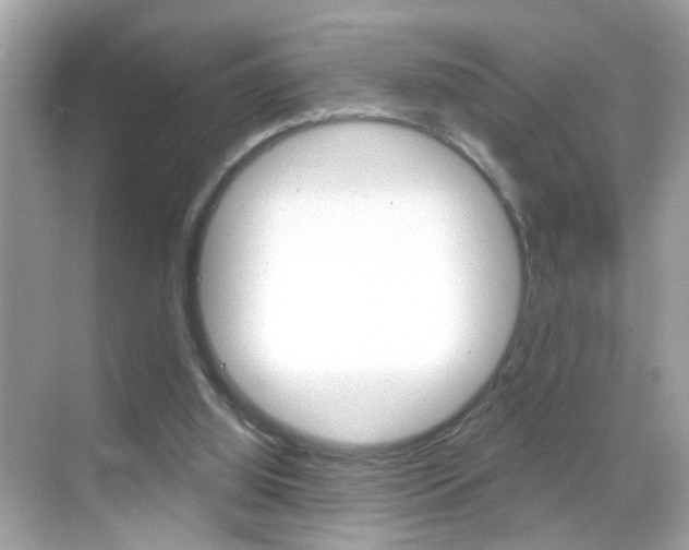 X0000068890060200605051126