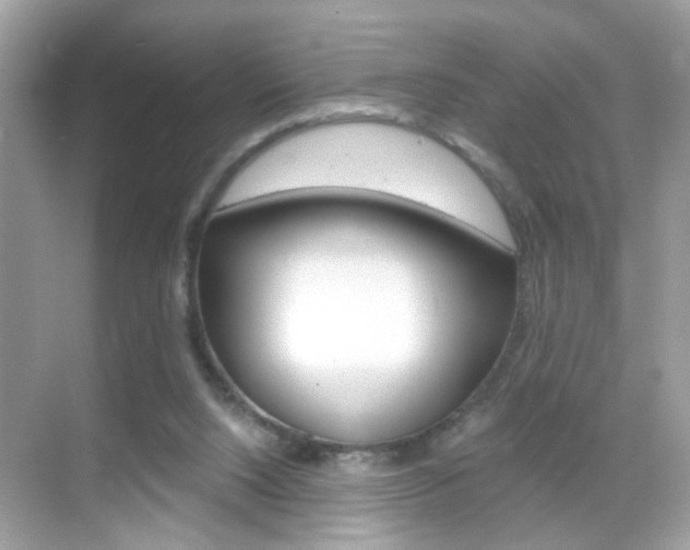 X0000068890064200605051126