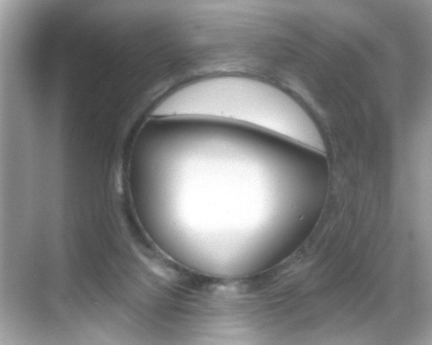 X0000068890068200605051126