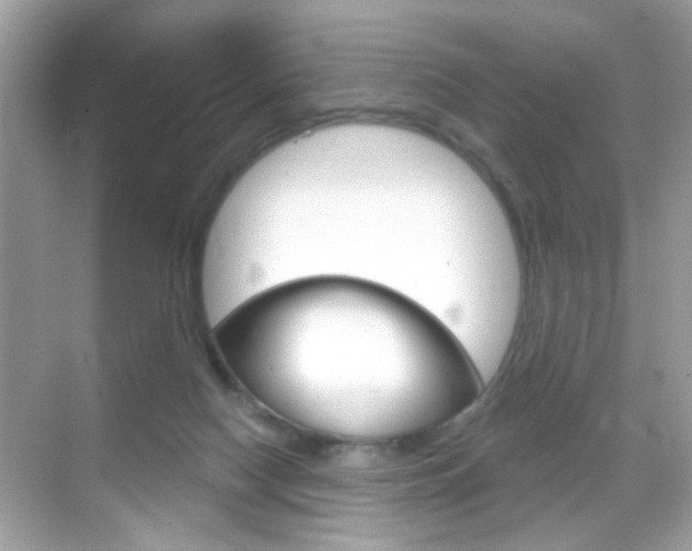 X0000068890074200605051126