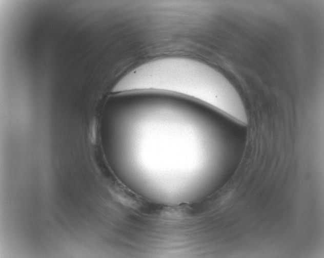 X0000068890076200605051126