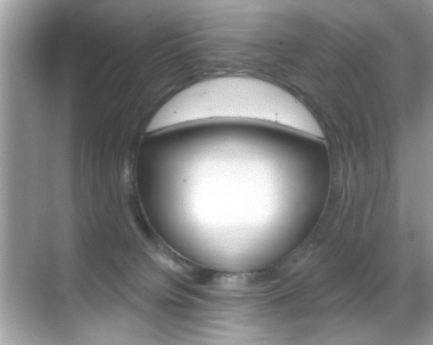 X0000068890084200605051126