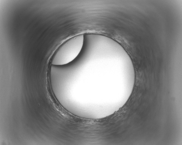 X0000068890098200605051125