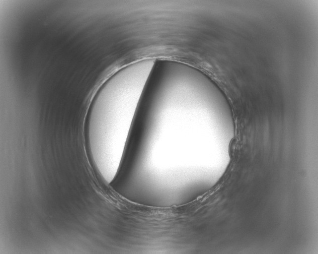 X0000068890099200605051125