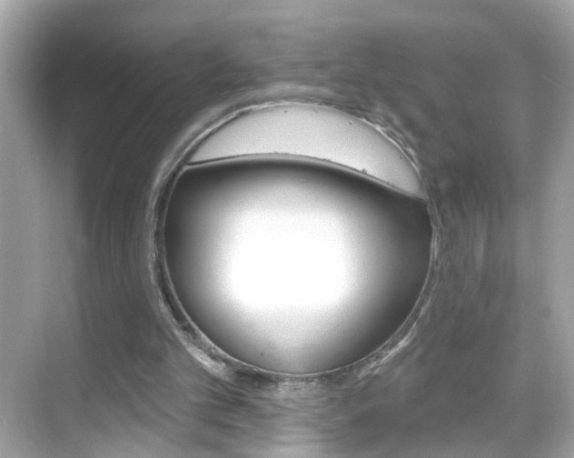 X0000068890101200605051125
