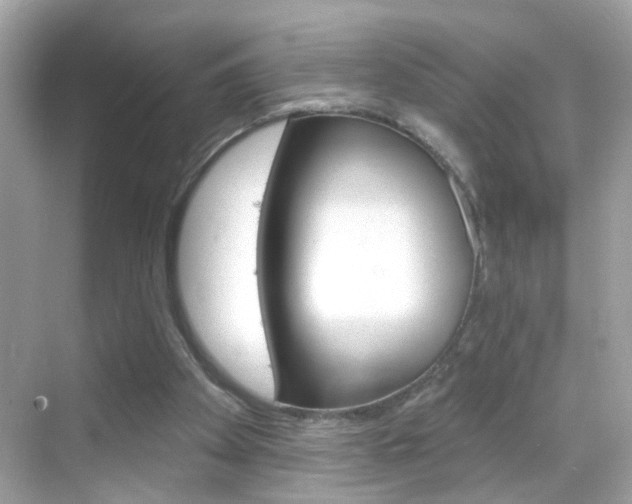 X0000068890105200605051125