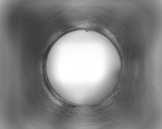 X0000068890106200605051125
