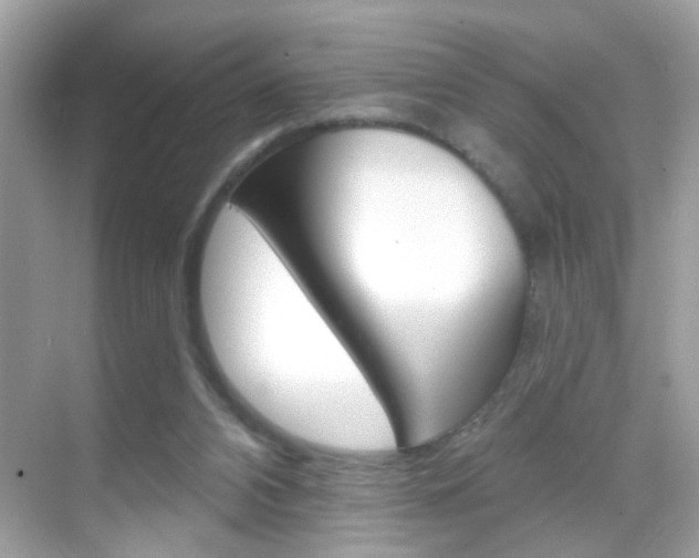 X0000068890112200605051125