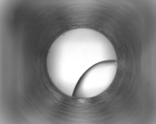 X0000068890130200605051125