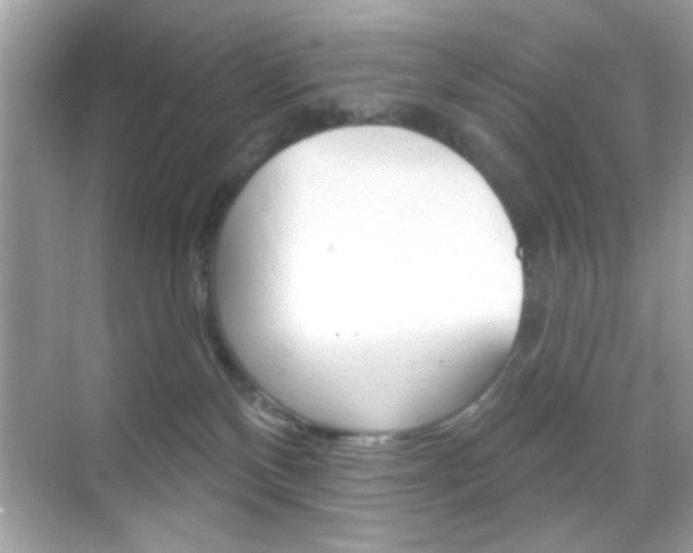 X0000068890136200605051125