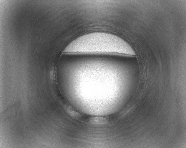 X0000068890137200605051125