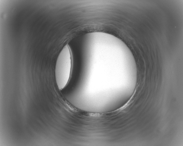 X0000068890144200605051125