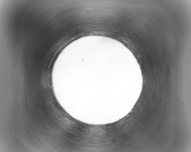 X0000068890146200605051124