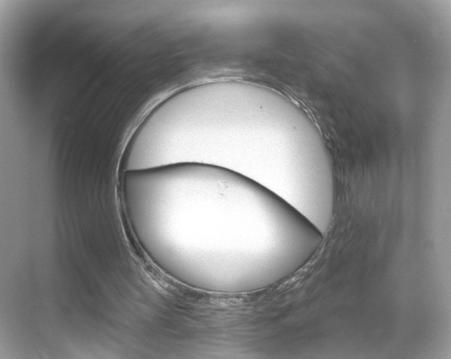 X0000068890147200605051124