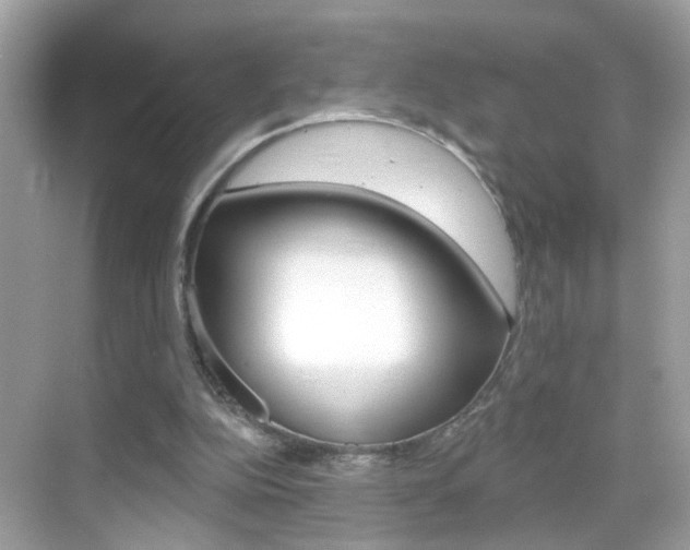 X0000068890152200605051124