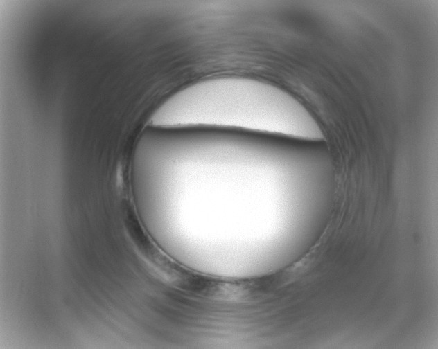 X0000068890166200605051124