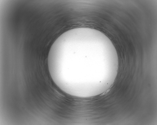 X0000068890184200605051124