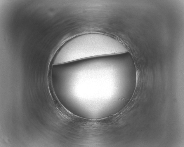 X0000068890195200605051124