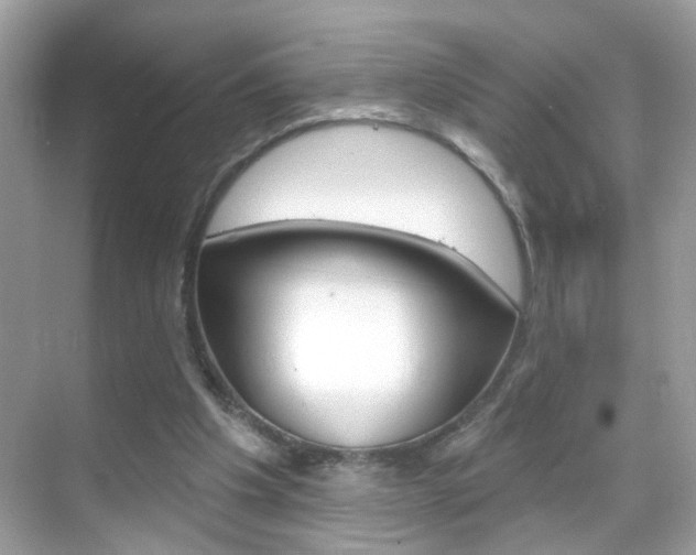 X0000068890201200605051124