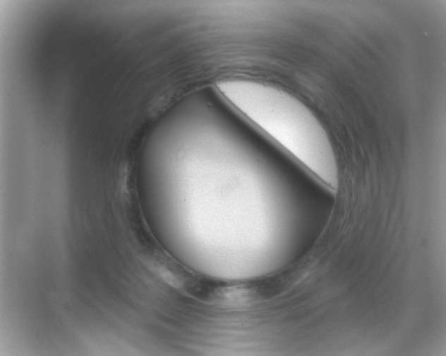 X0000068890219200605051123