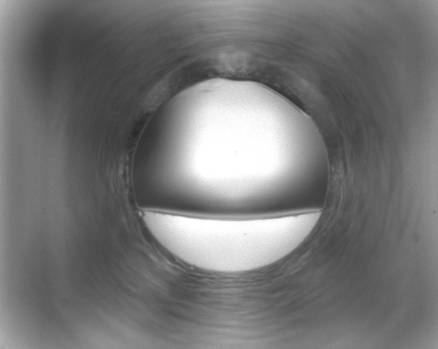 X0000068890233200605051123