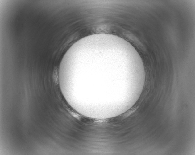 X0000068890240200605051123