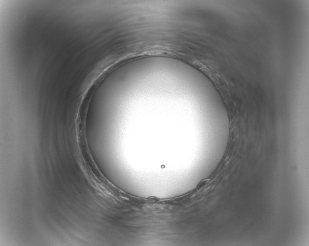 X0000068890242200605051122
