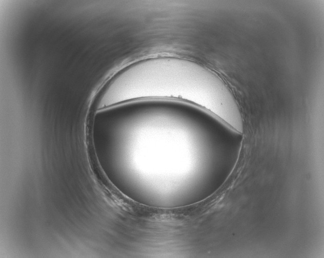 X0000068890244200605051122
