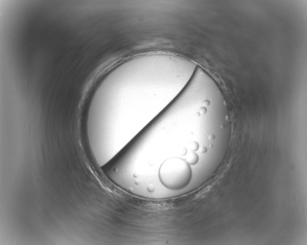 X0000068890245200605051122