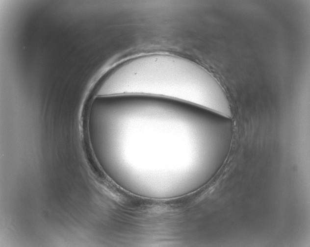 X0000068890246200605051122