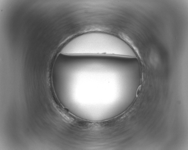 X0000068890249200605051122