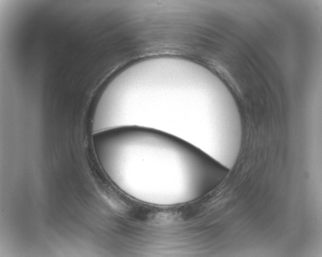 X0000068890251200605051122