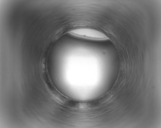 X0000068890264200605051123