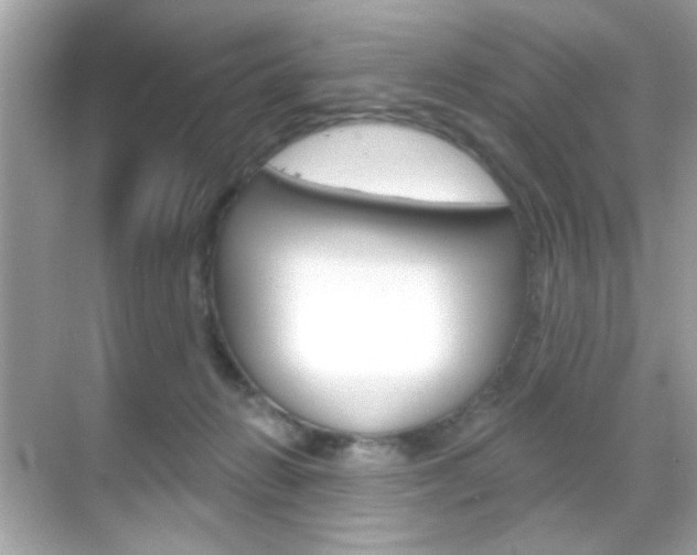 X0000068890270200605051123